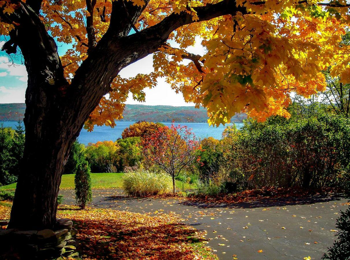 Moonshadow B&B Hammondsport Luaran gambar
